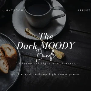 Lightroom Moody Preset Bundle